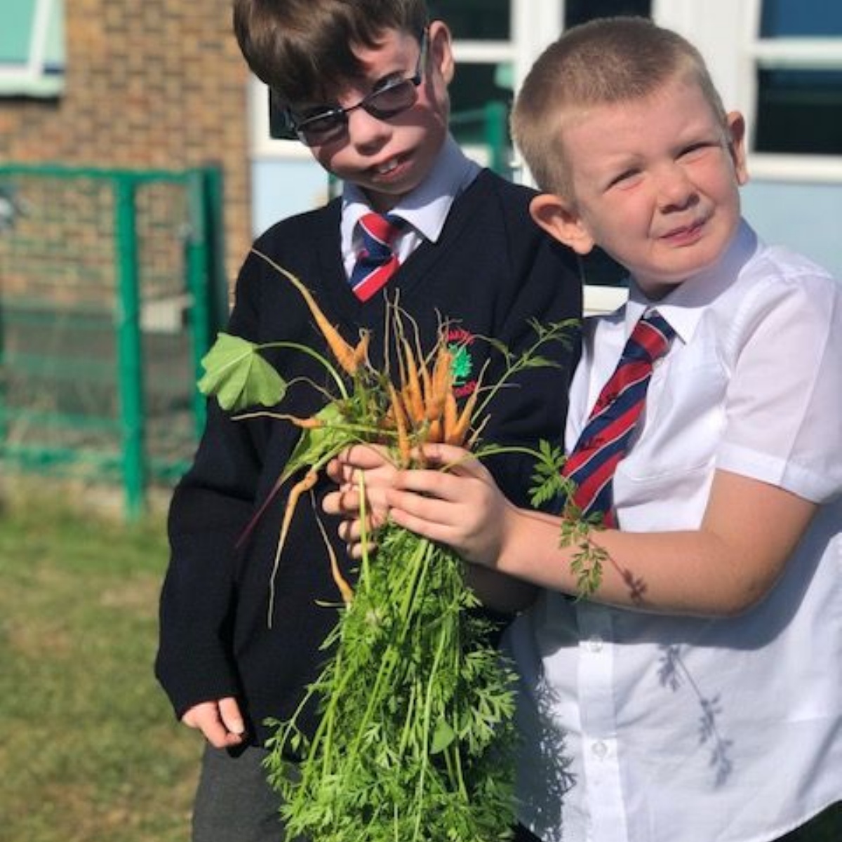Garden Harvest Oakfield Junior